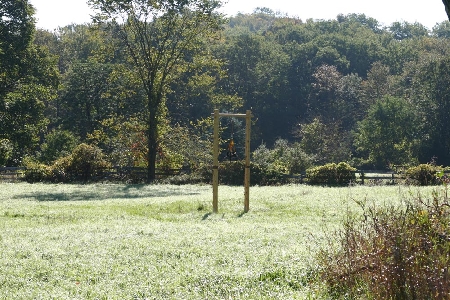 site2
