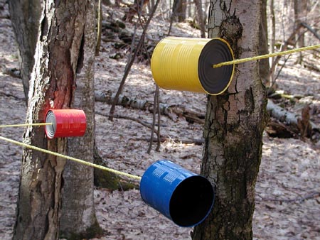 Three cans
